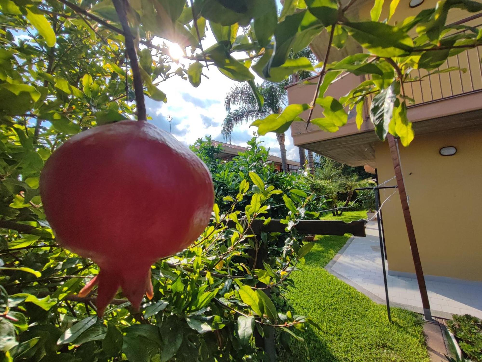 마스칼리 Maresole Tra L'Etna E Taormina 아파트 외부 사진